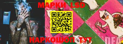 прущие грибы Краснодар