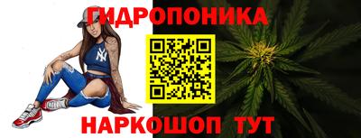 прущие грибы Краснодар