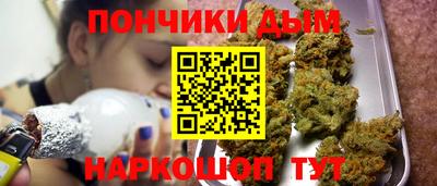 прущие грибы Краснодар