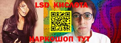 прущие грибы Краснодар